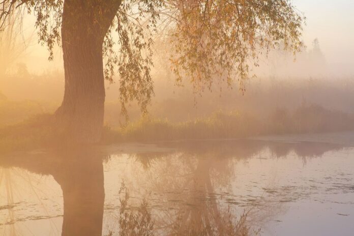 Unbehandelte Depressionen
